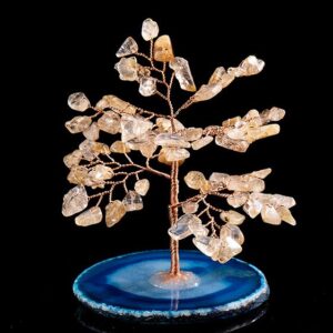 Solar Manifestation Golden June Birth Tree